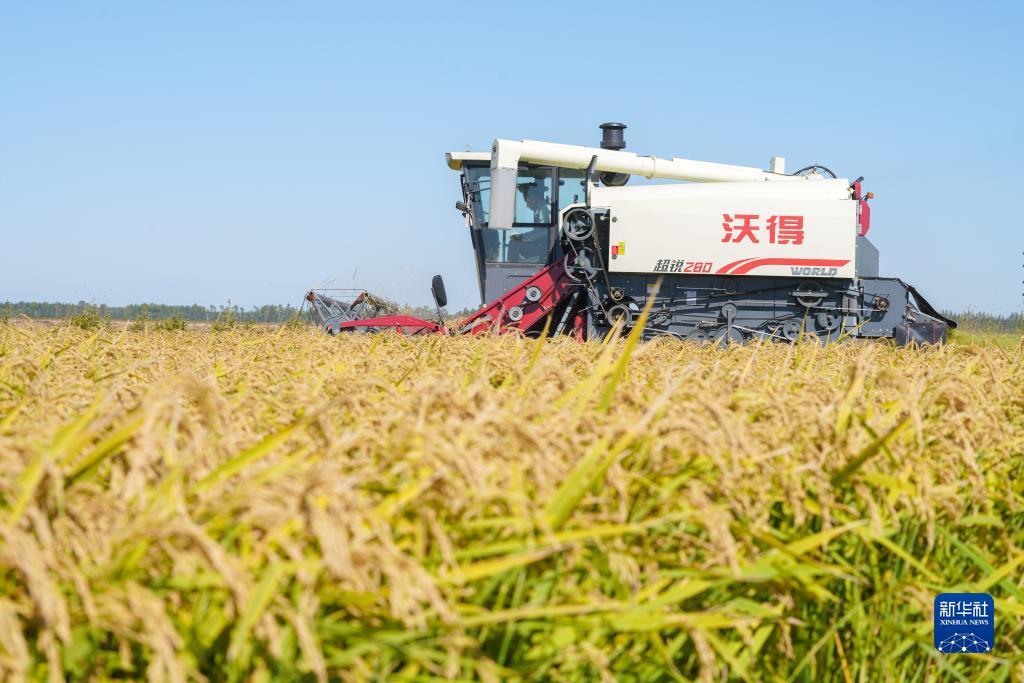 必发365官方网址